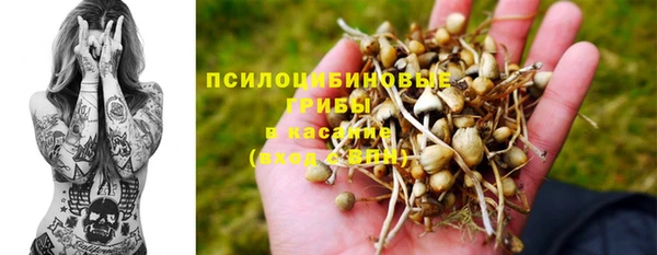 стафф Алексеевка