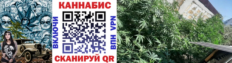 где купить наркоту  Заполярный  Конопля White Widow 